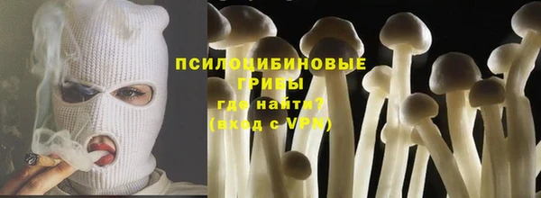 ALPHA PVP Богданович