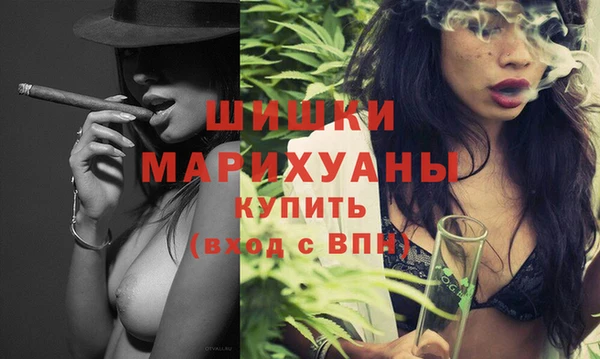 гашик Бородино
